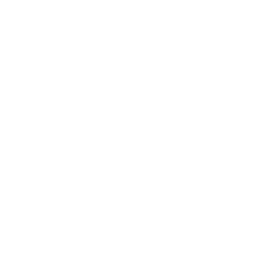 Rupee Icon
